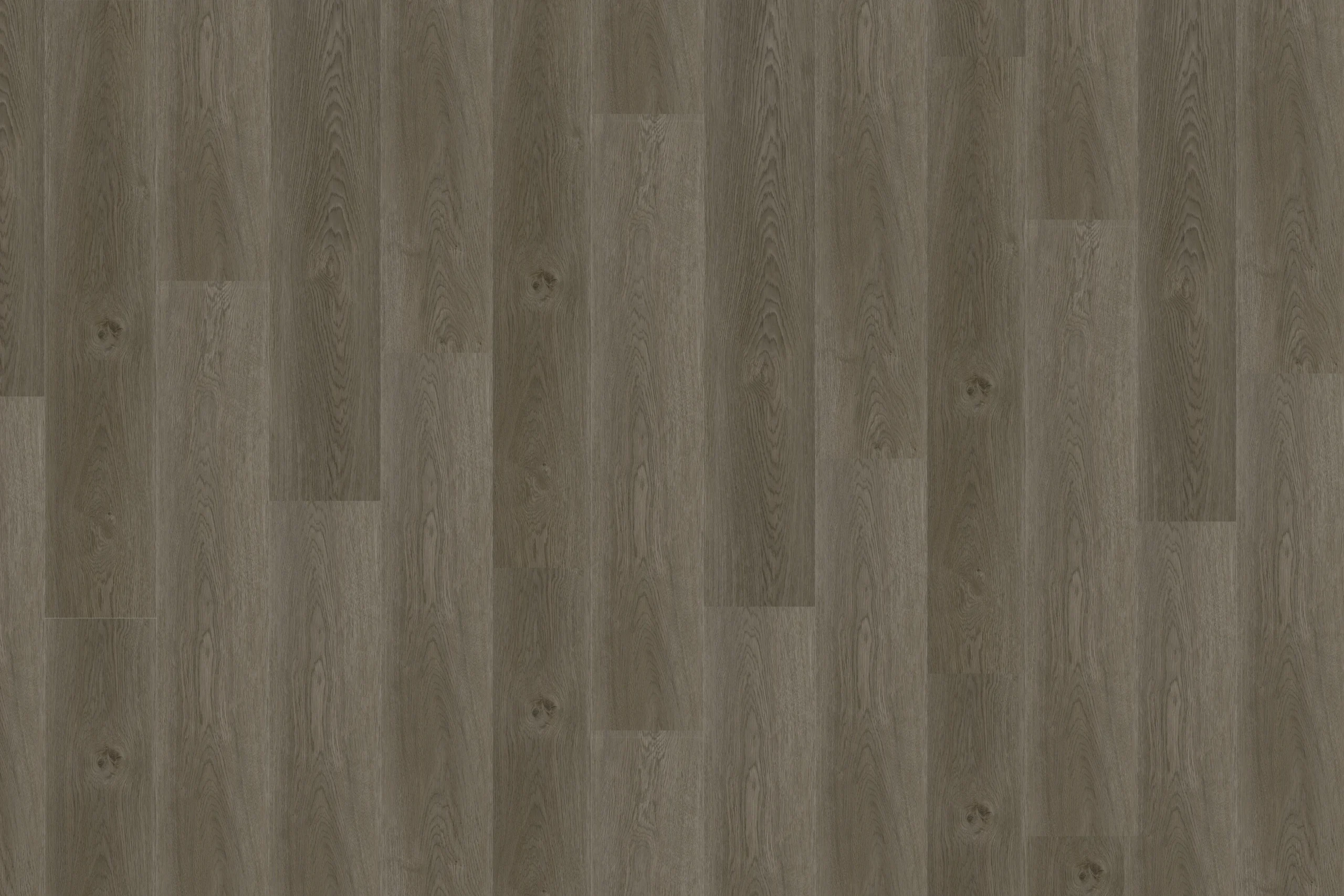 10006188 – Casselton #2036-A - Gray-Brown Luxury Oak Vinyl Flooring